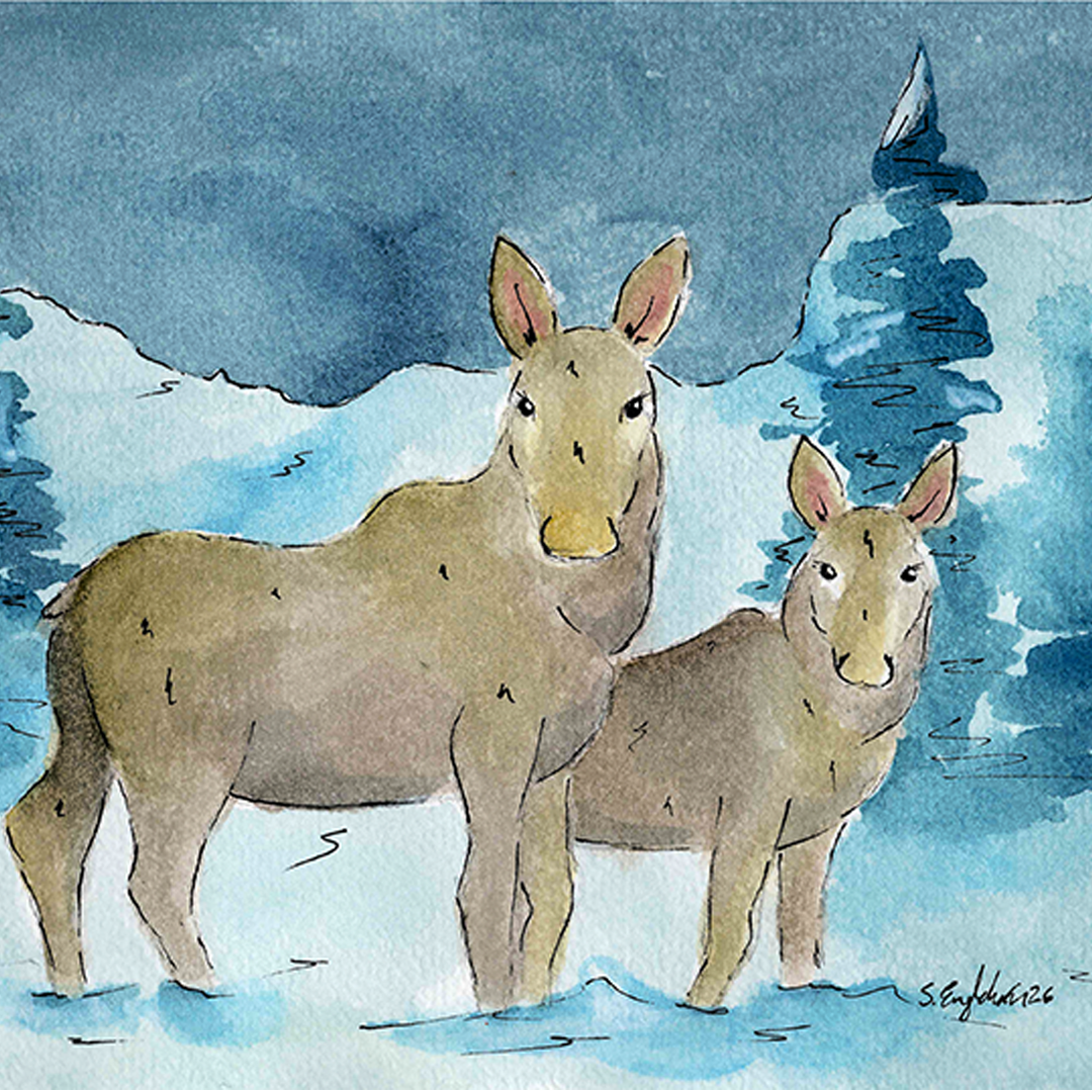 Elg i vinterlandksp - A5 trykk - Kunstverk av elg