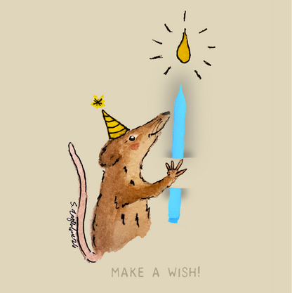 Bursdagskort med tekst - Make a wish –  spissmus - akvarell | Party Animals