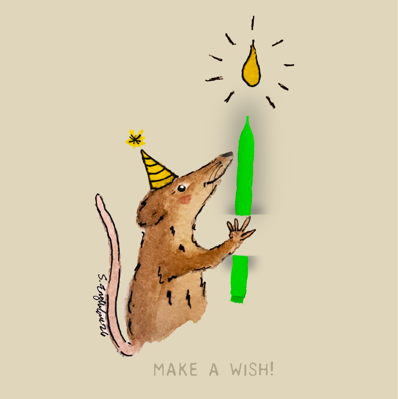 Bursdagskort med tekst - Make a wish –  spissmus - akvarell | Party Animals